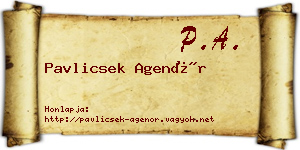 Pavlicsek Agenór névjegykártya